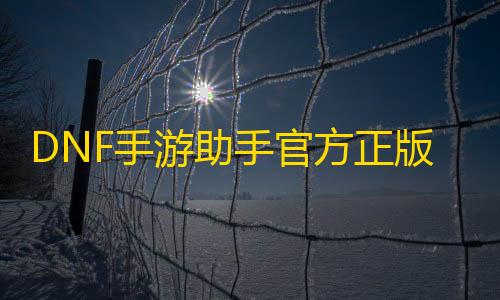 安卓三角洲行动DNF手游助手官方正版免费